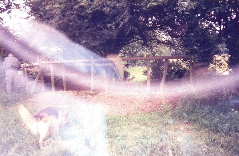 1 Copy of Mysterious photo Ju 88 Medstead 001
